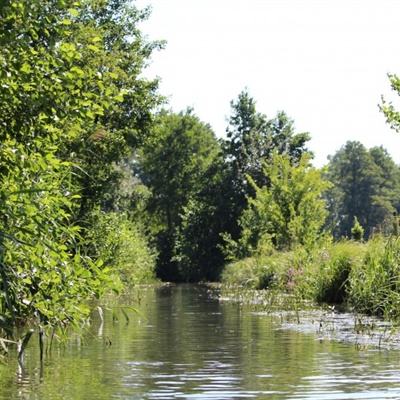 “十三五”期间新增湿地20.26万公顷